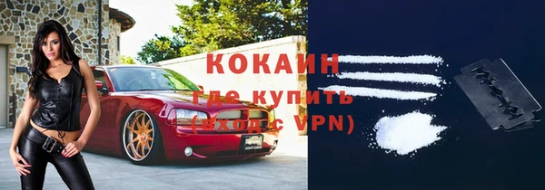 прущие грибы Бронницы
