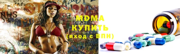 прущие грибы Бронницы