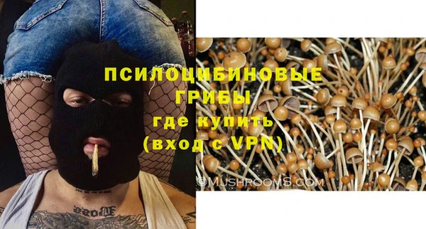 героин Бородино
