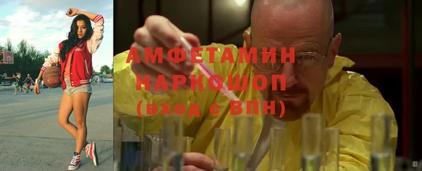прущие грибы Бронницы