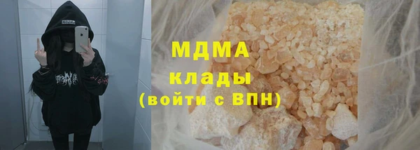 прущие грибы Бронницы