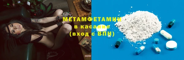 прущие грибы Бронницы