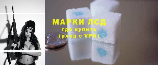 прущие грибы Бронницы