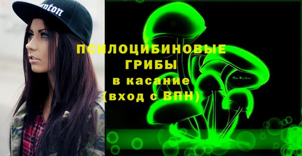 прущие грибы Бронницы