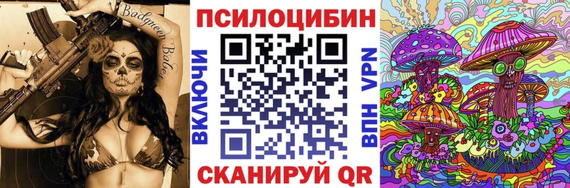 Купить  Благодарный  Псилоцибиновые грибы Cubensis 